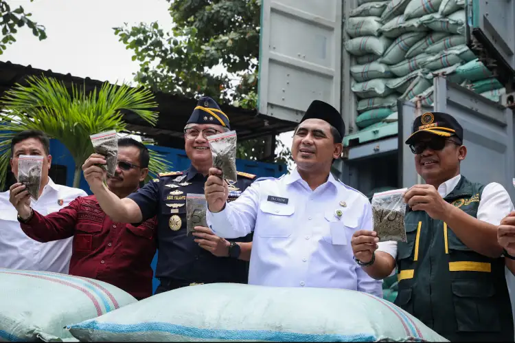 Penyelundupan 90,2 Ton Kratom di Tanjung Emas Semarang Terbongkar